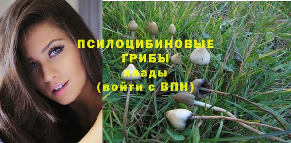 бошки Бородино