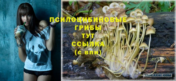 гашишное масло Богданович